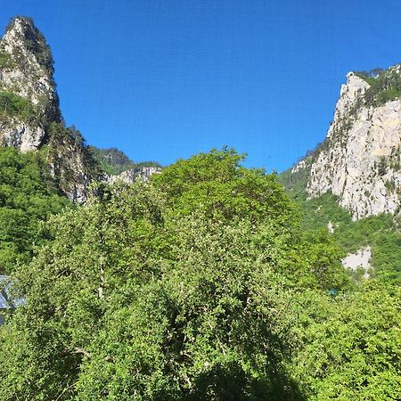 Vila Montana Dobrilovina エクステリア 写真