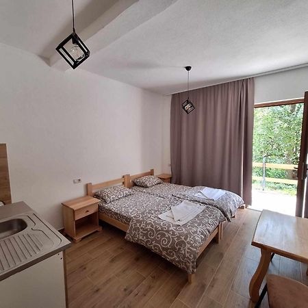 Vila Montana Dobrilovina エクステリア 写真