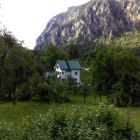 Vila Montana Dobrilovina エクステリア 写真