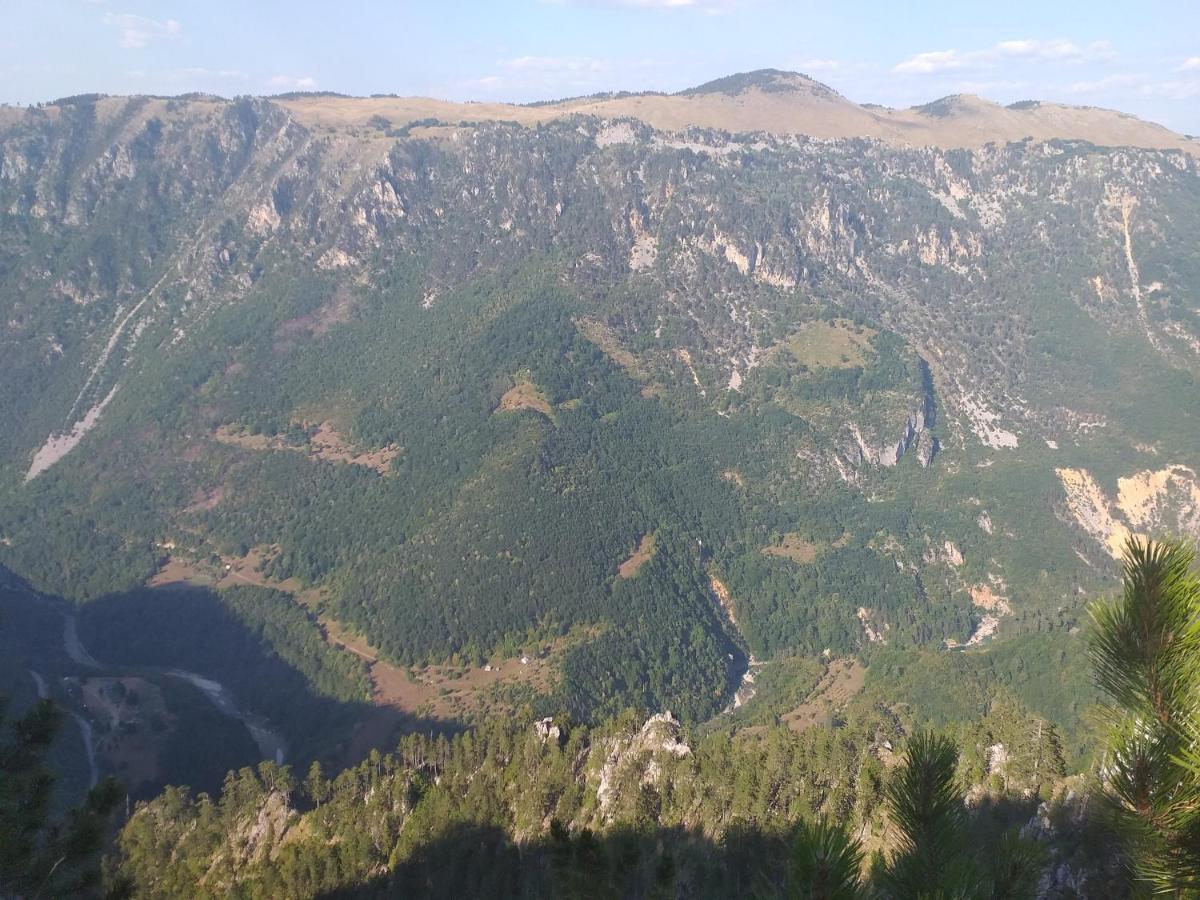 Vila Montana Dobrilovina エクステリア 写真