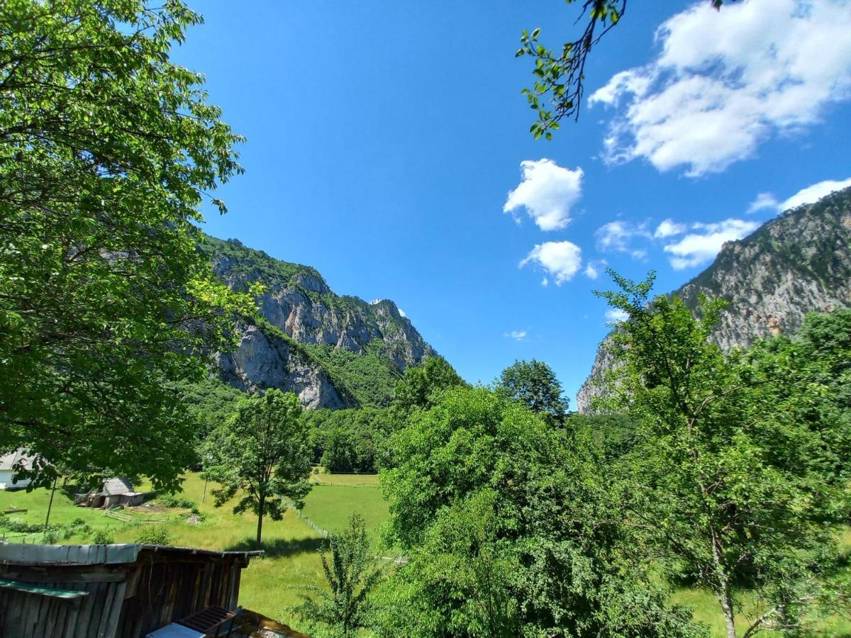 Vila Montana Dobrilovina エクステリア 写真