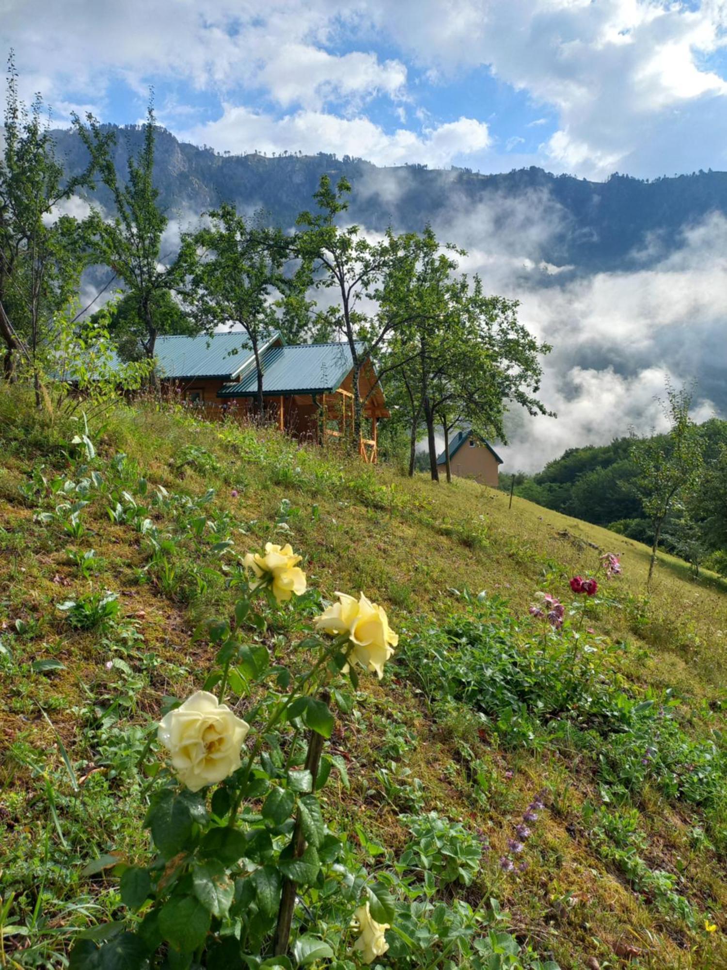Vila Montana Dobrilovina エクステリア 写真