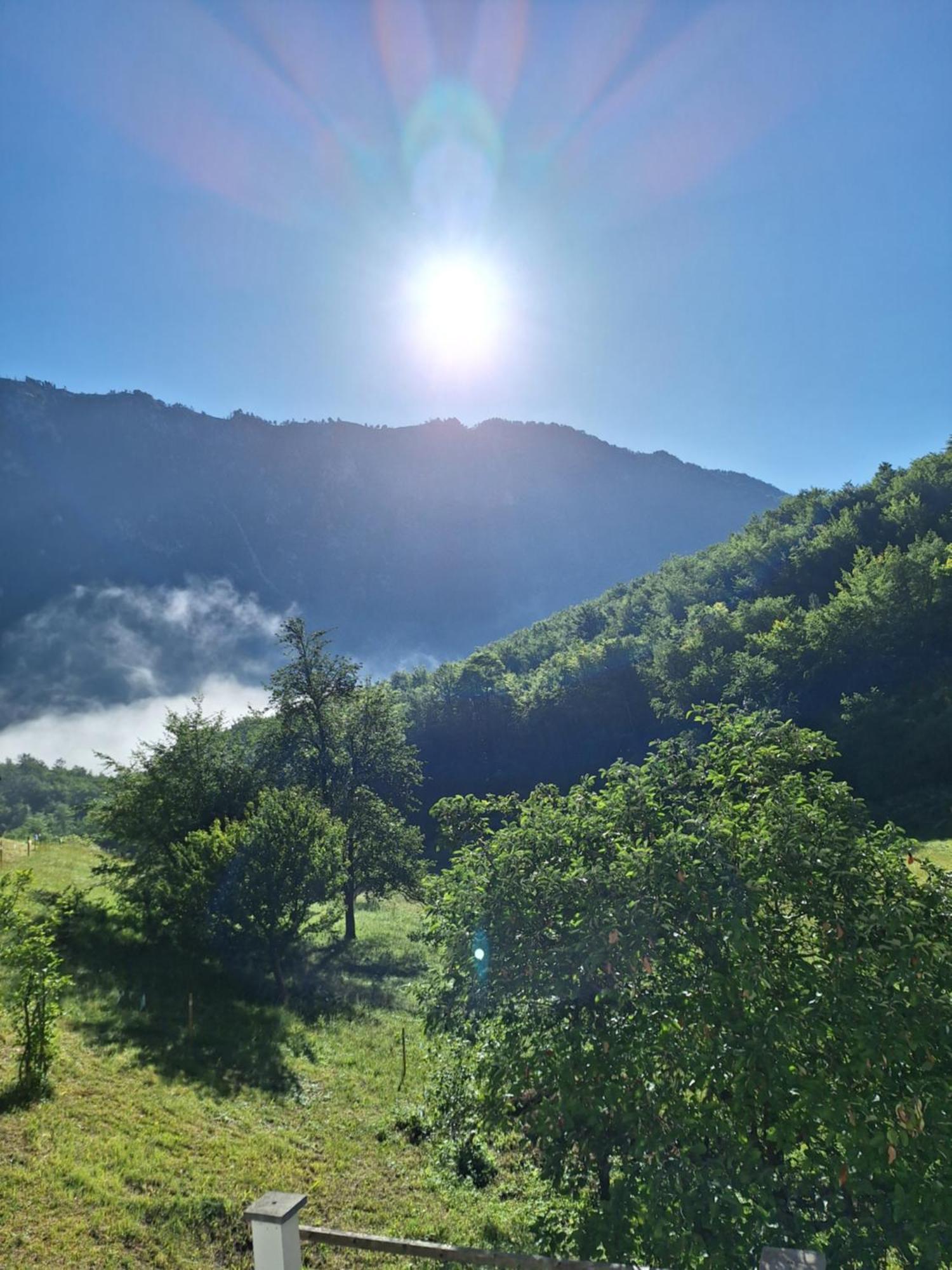 Vila Montana Dobrilovina エクステリア 写真