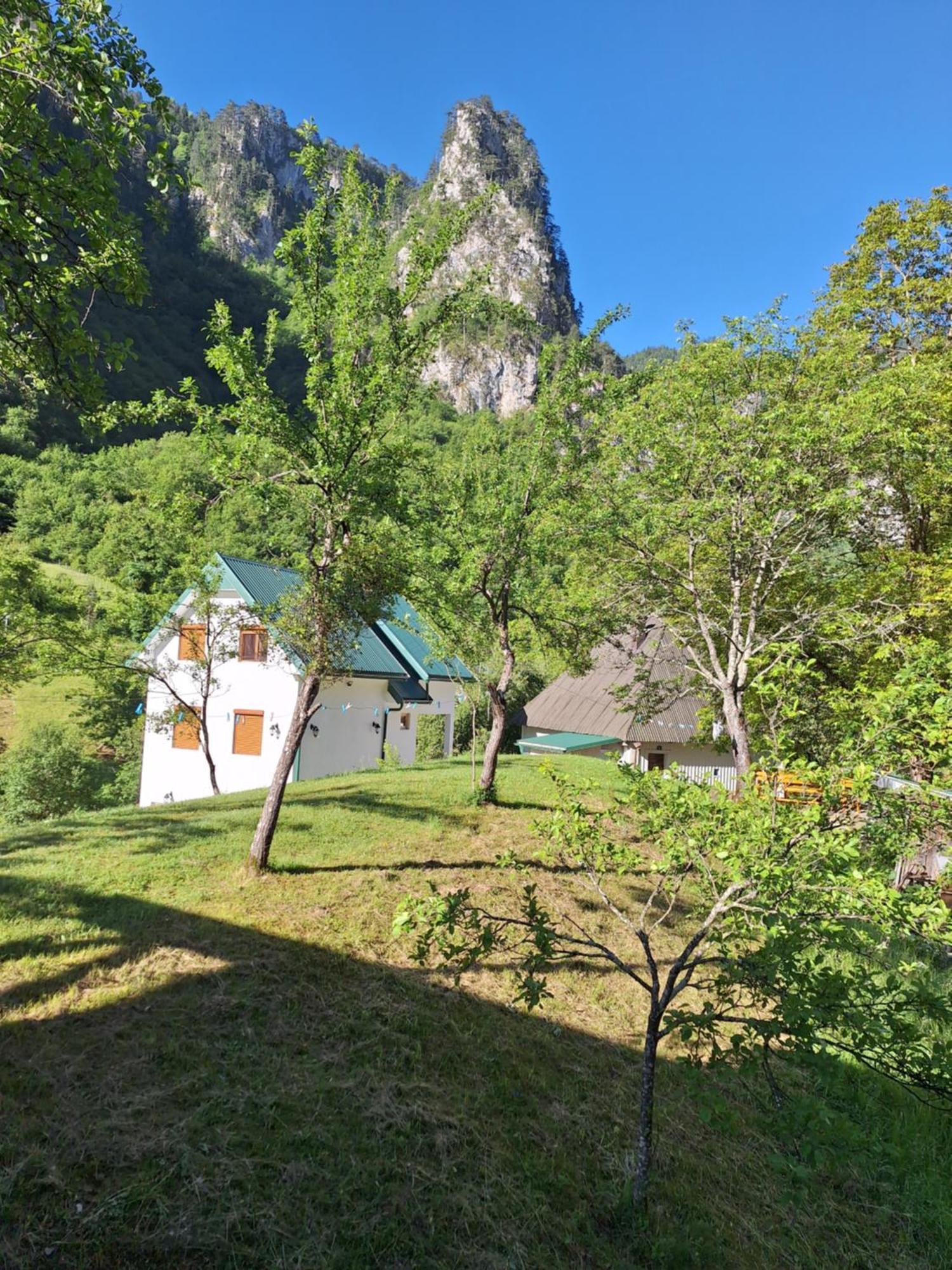 Vila Montana Dobrilovina エクステリア 写真