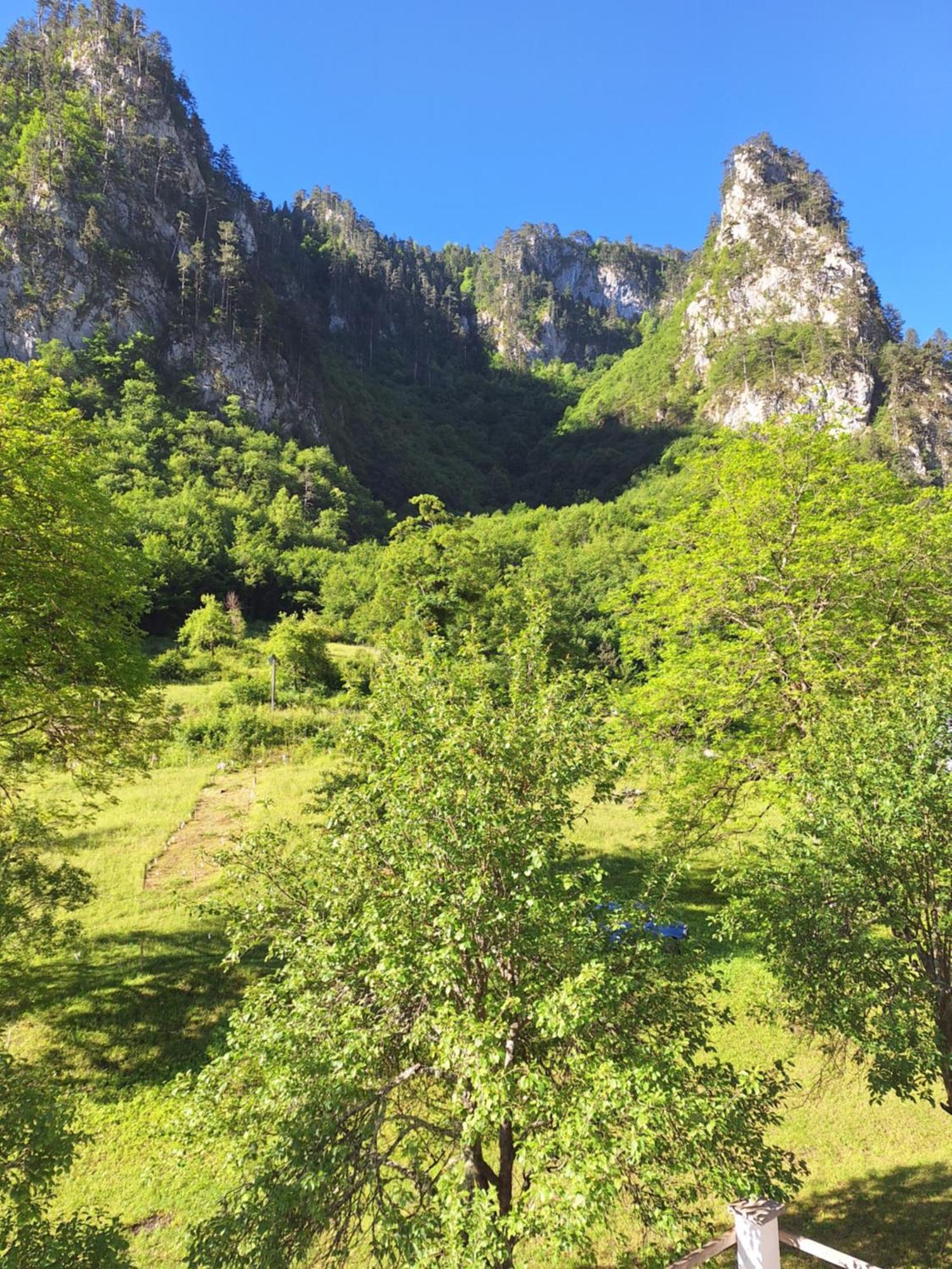 Vila Montana Dobrilovina エクステリア 写真
