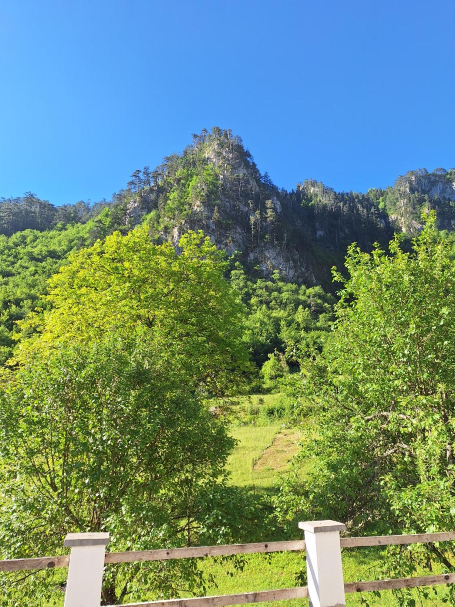 Vila Montana Dobrilovina エクステリア 写真