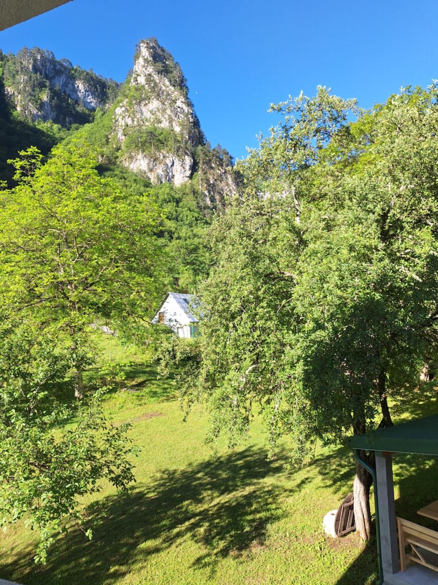 Vila Montana Dobrilovina エクステリア 写真