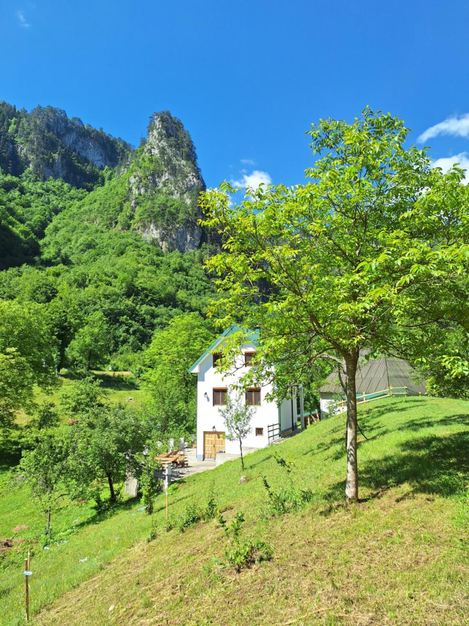 Vila Montana Dobrilovina エクステリア 写真