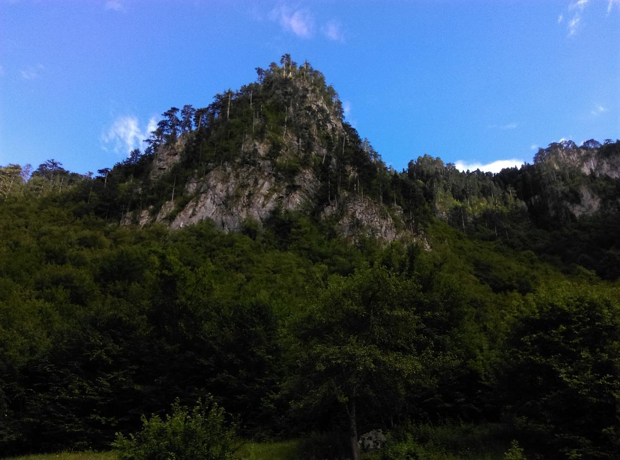 Vila Montana Dobrilovina エクステリア 写真
