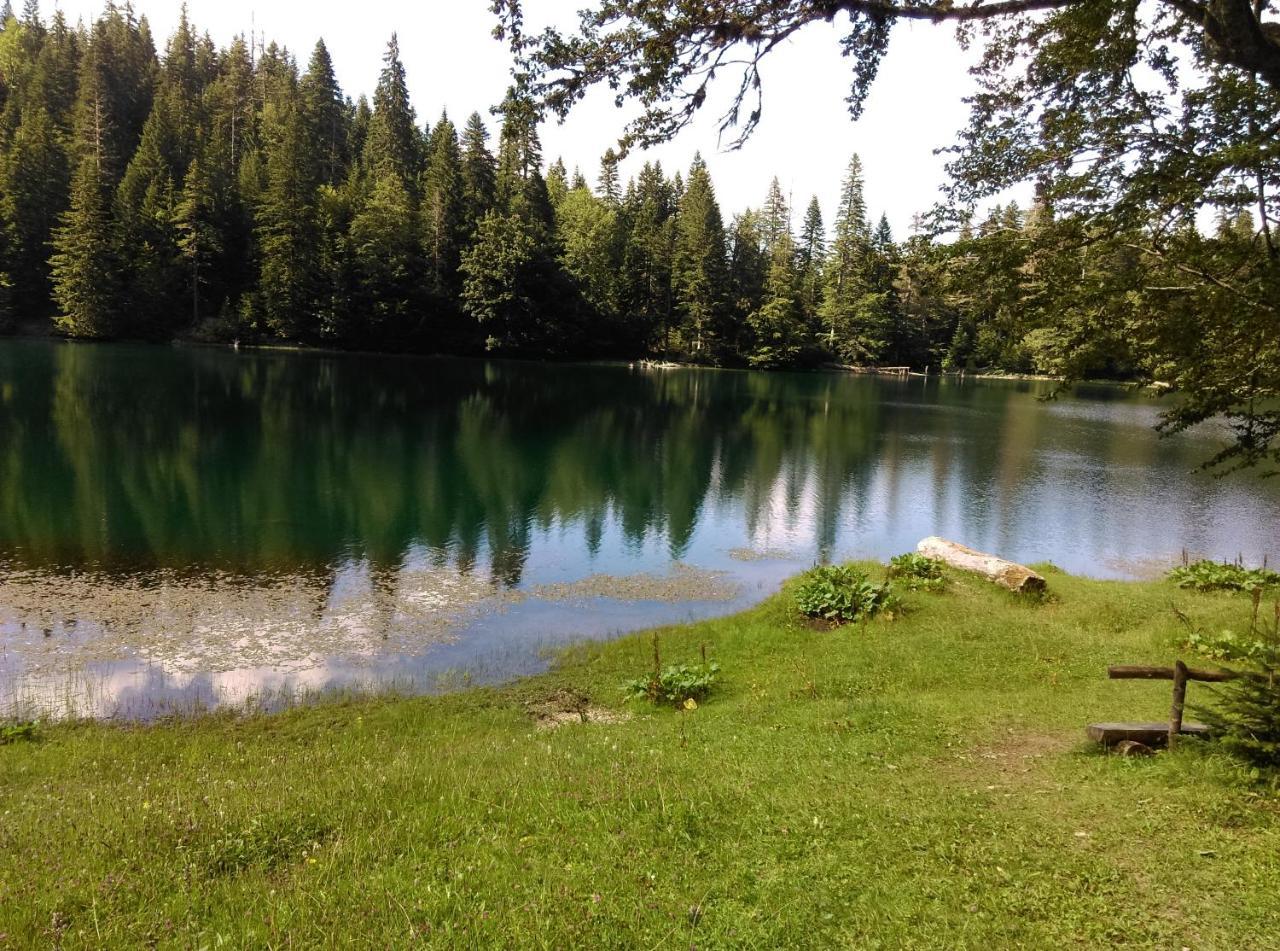 Vila Montana Dobrilovina エクステリア 写真